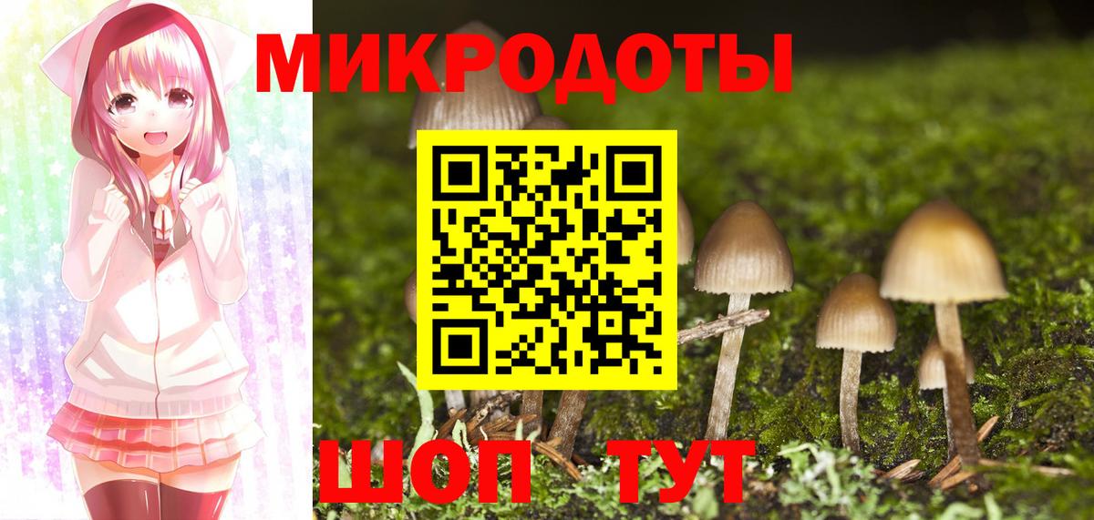 Кушва  где купить наркотик  Вход с VPN  Галлюциногенные грибы Psilocybe 